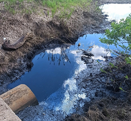 В Ярославской области ищут виновных в сбросе хозяйственно-фекальных вод в Пятовский ручей